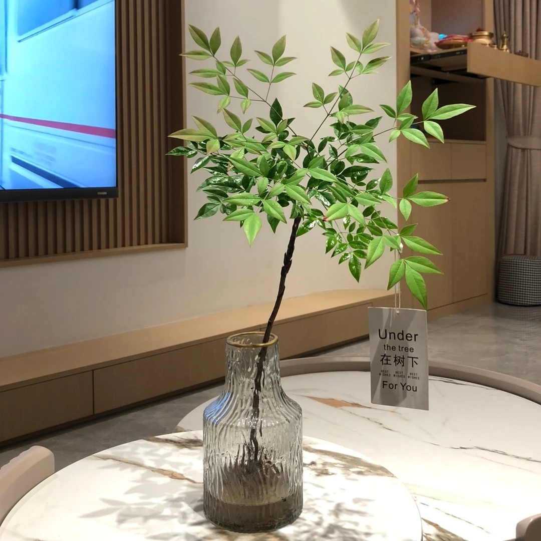 南天竹水培绿植盆栽室内办公室桌面前台美观绿色植物花卉