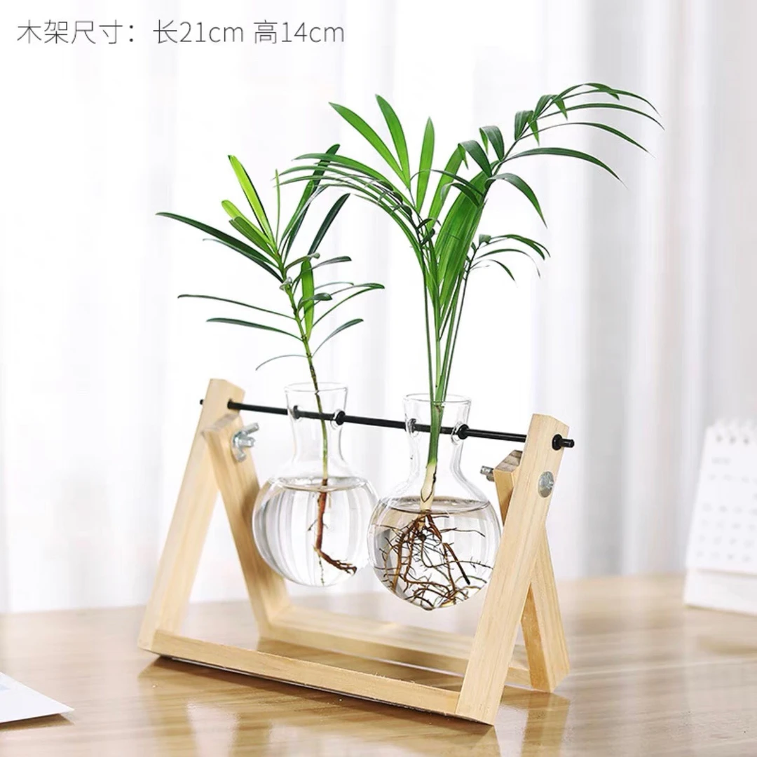 水培绿萝袖珍椰子盆栽盆景室内阳台办公室前台美观绿色花卉绿植