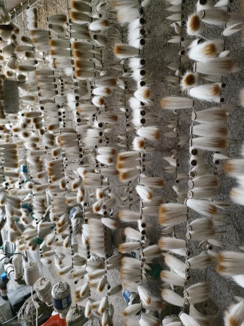 订制款，羊毫，狼毫，兼毫笔