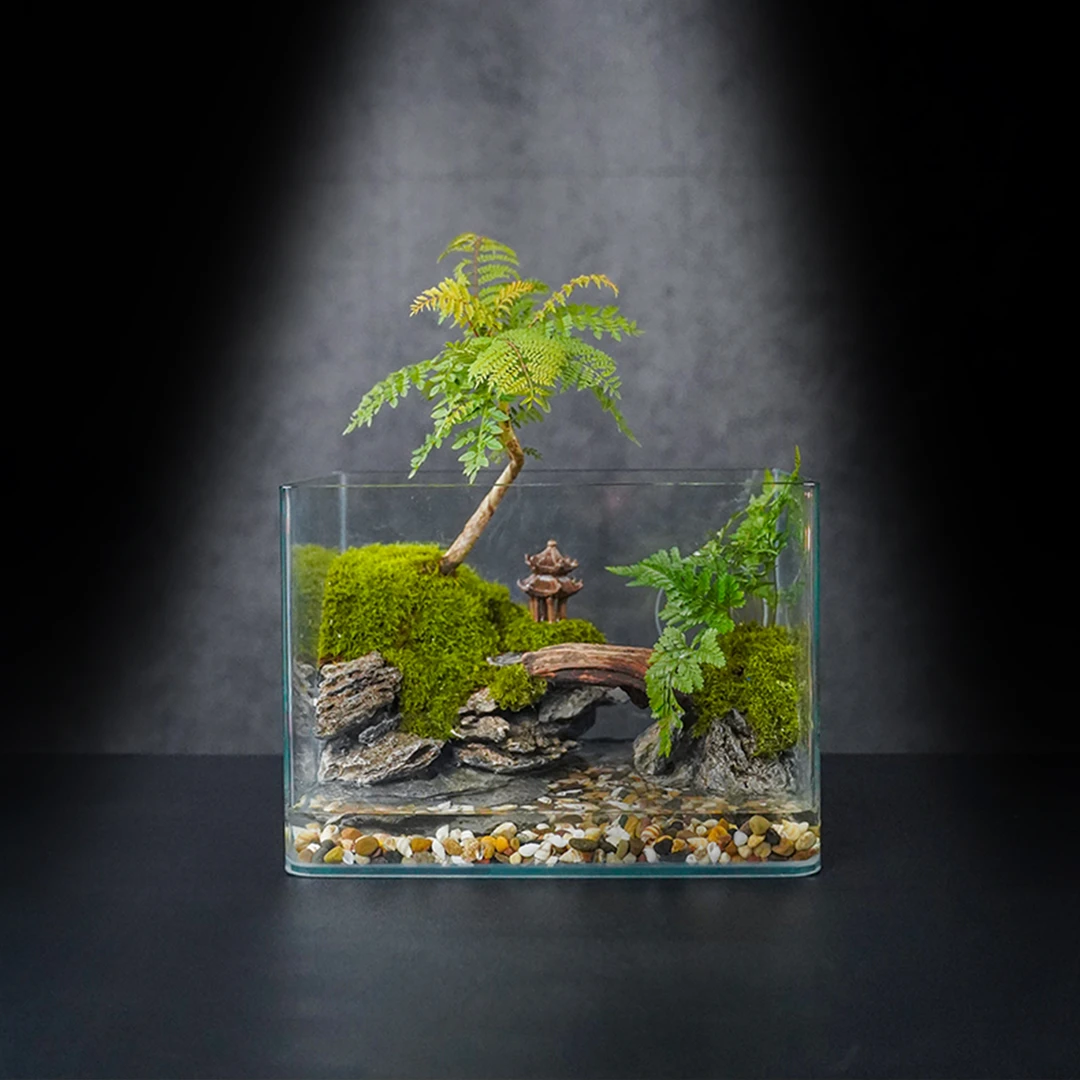 【国风山水】山水间—蓝花楹真绿植精品创意成品发货微景观25*16*18