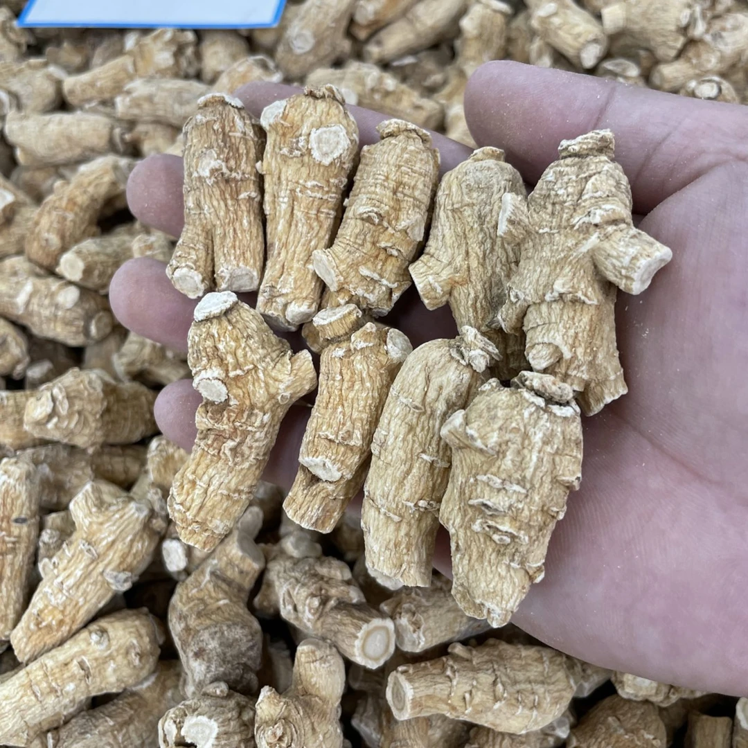 正【加拿大西洋参】7克每粒 [短支] 实惠之选 优质软肉食用滋补