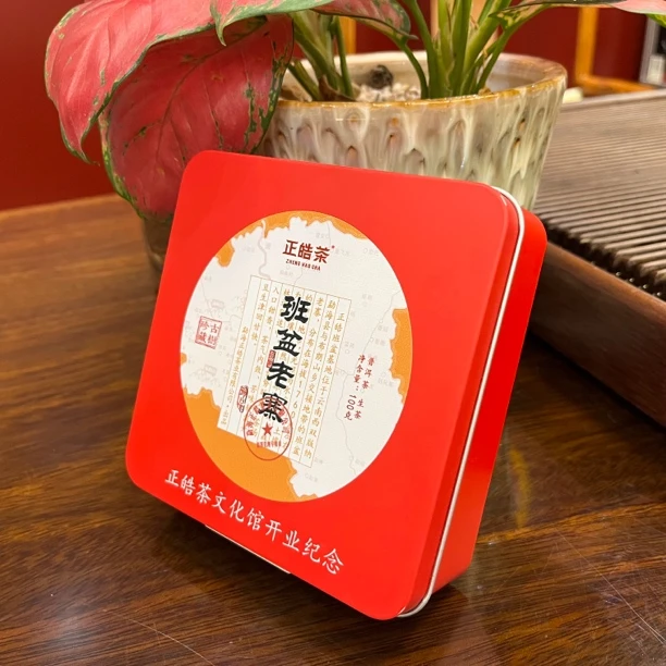 2024年 班盆老寨 普洱茶生茶 100克