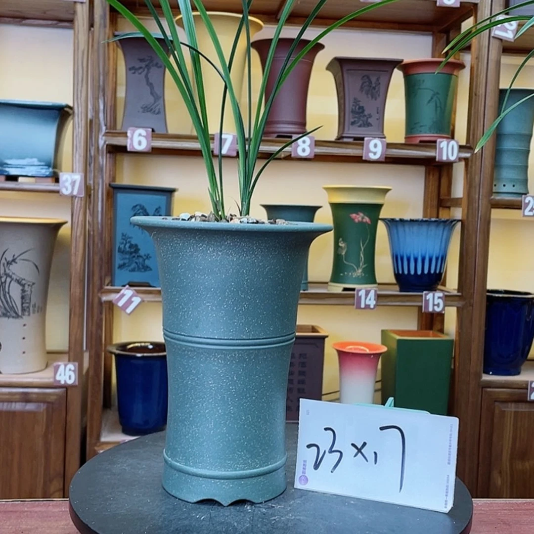 【闪购商品】紫砂花盆兰花843434545486434646