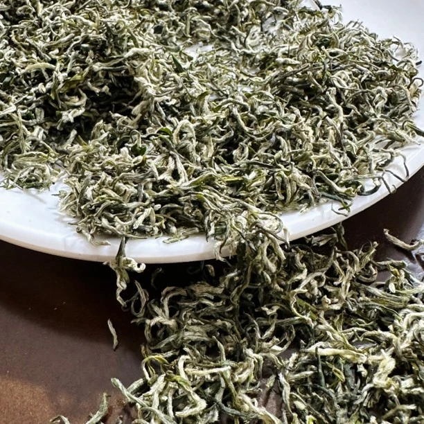 2024年头采春茶碧螺春260款（兰花香春茶春料）明前春茶绿茶小芽