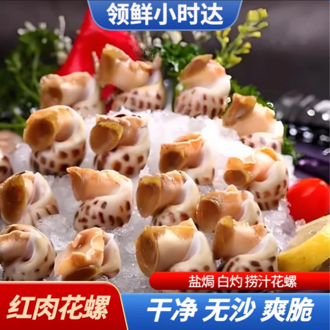 鲜活花螺/红肉花螺（散称）