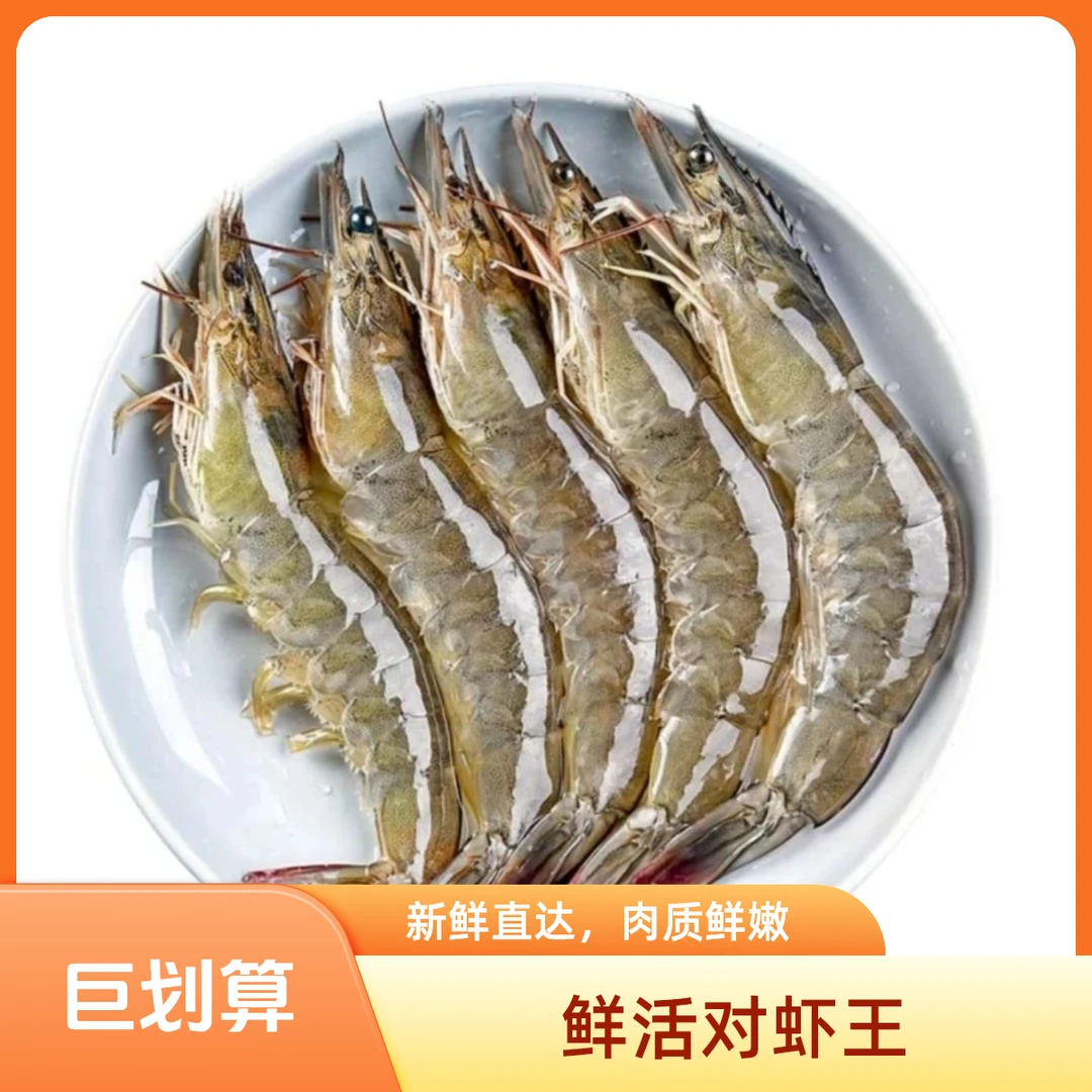 （品质精选）鲜活海对虾王（充氧活发）（12-18只/斤）