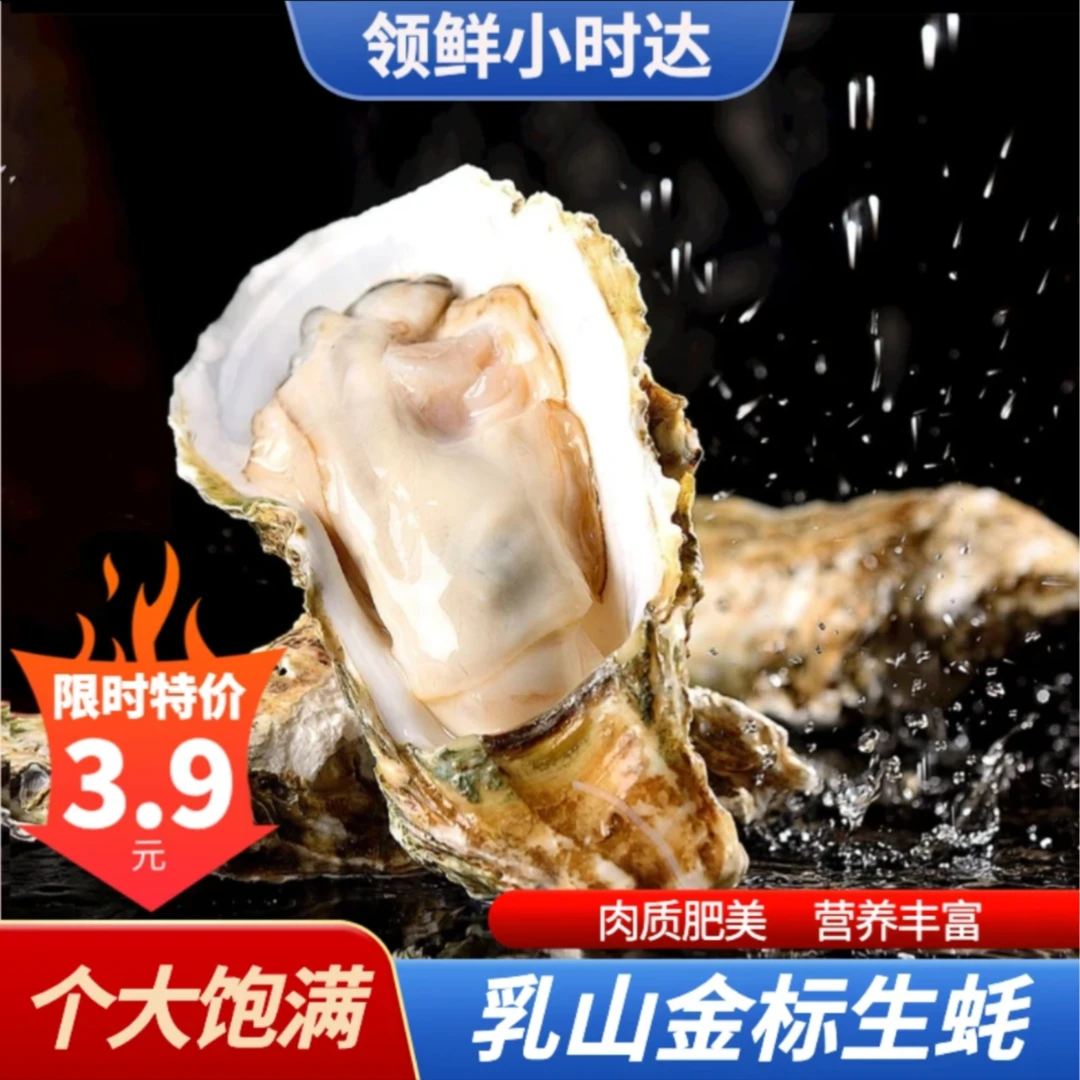 （福利款）鲜活乳山金标生蚝4+