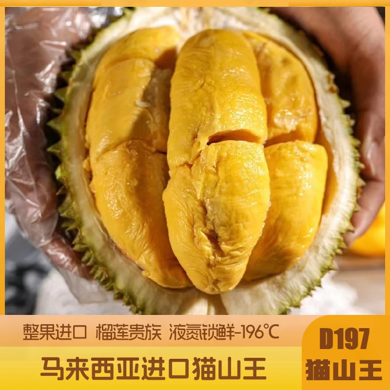 马来西亚“液氮”D197猫山王榴莲—榴莲王中王，口感细腻，入口即化，浓郁奶香甜-中春路店