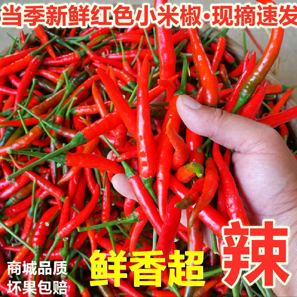 新鲜小米椒特辣小米辣鲜椒朝天椒香红辣椒指天椒泡椒超辣采摘提味