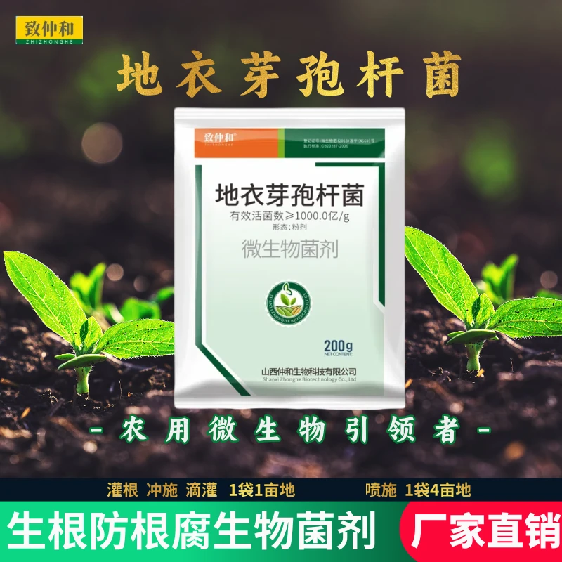 致仲和丰收季1000亿地衣枯草芽孢杆菌土壤改良根系板结微生物菌剂