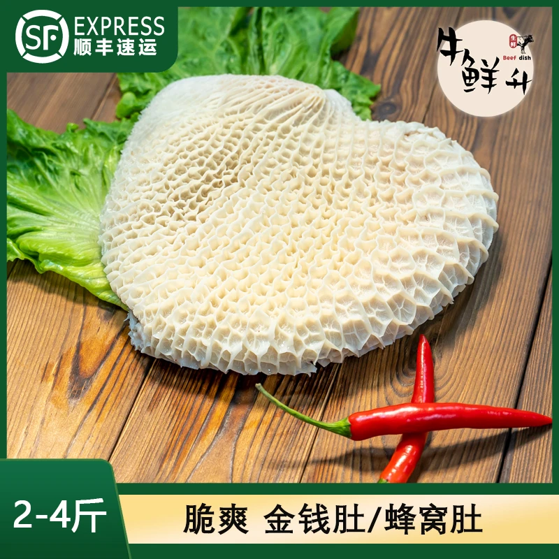 新鲜金钱肚[ 2-4 ]斤装【卤煮、闷炖、清汤】屠宰场一手货源