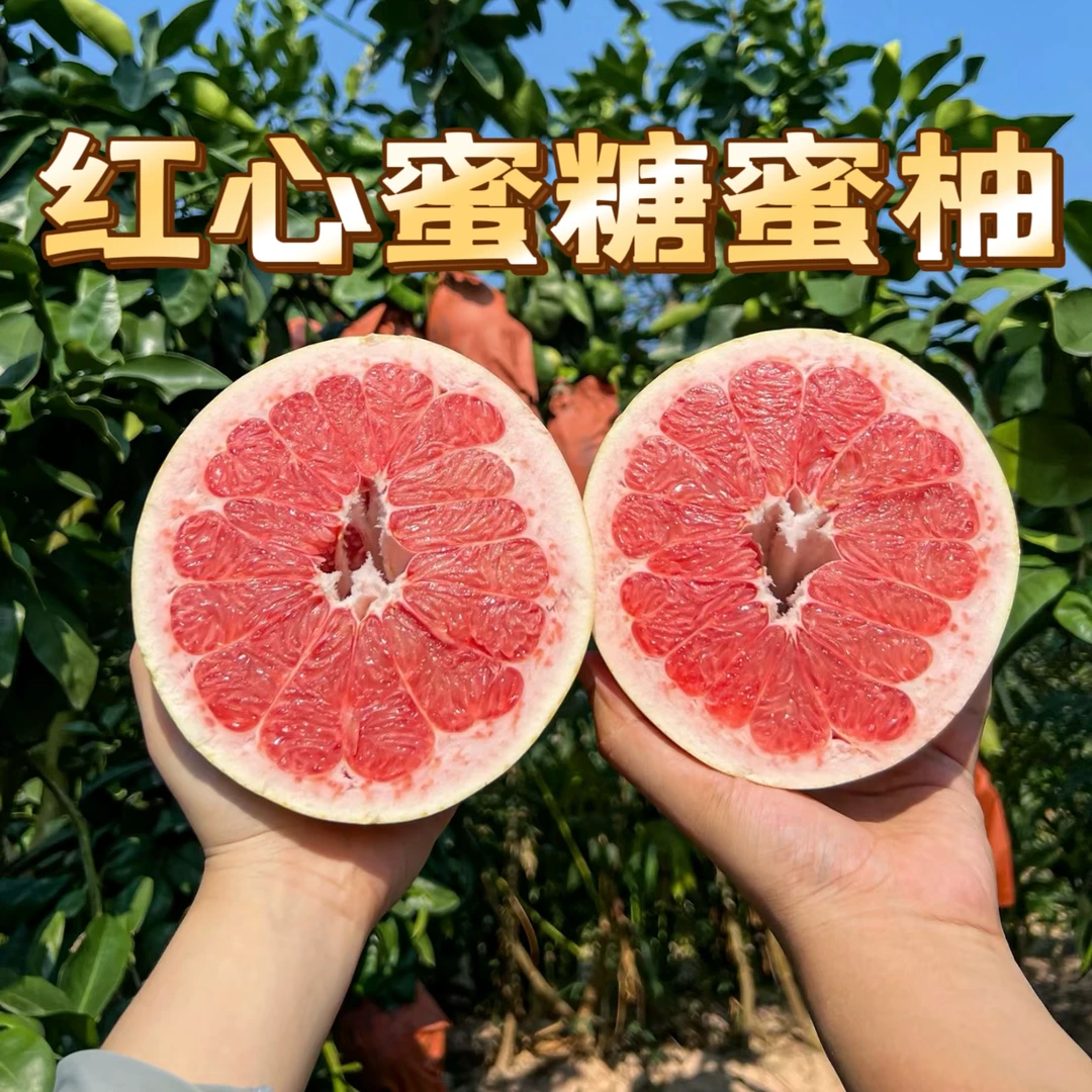 【老树蜂糖红柚2】老树红心蜜柚皮薄肉厚汁水多孕妈妈柚子1-8斤A