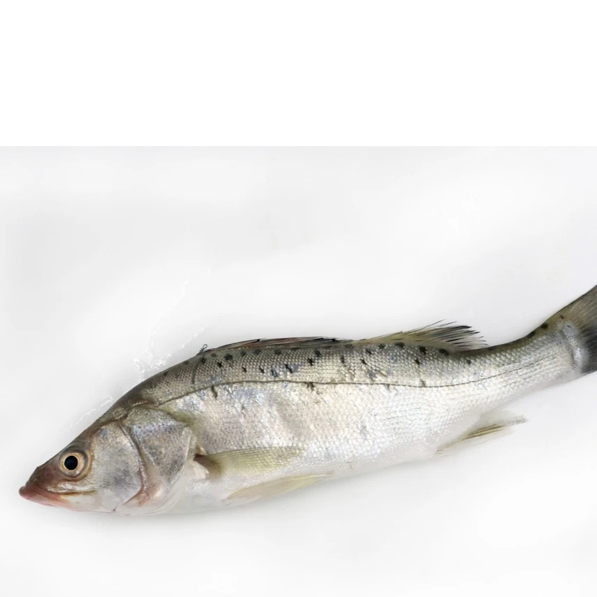 海鲈鱼（650g±50g）/条（默认宰杀）