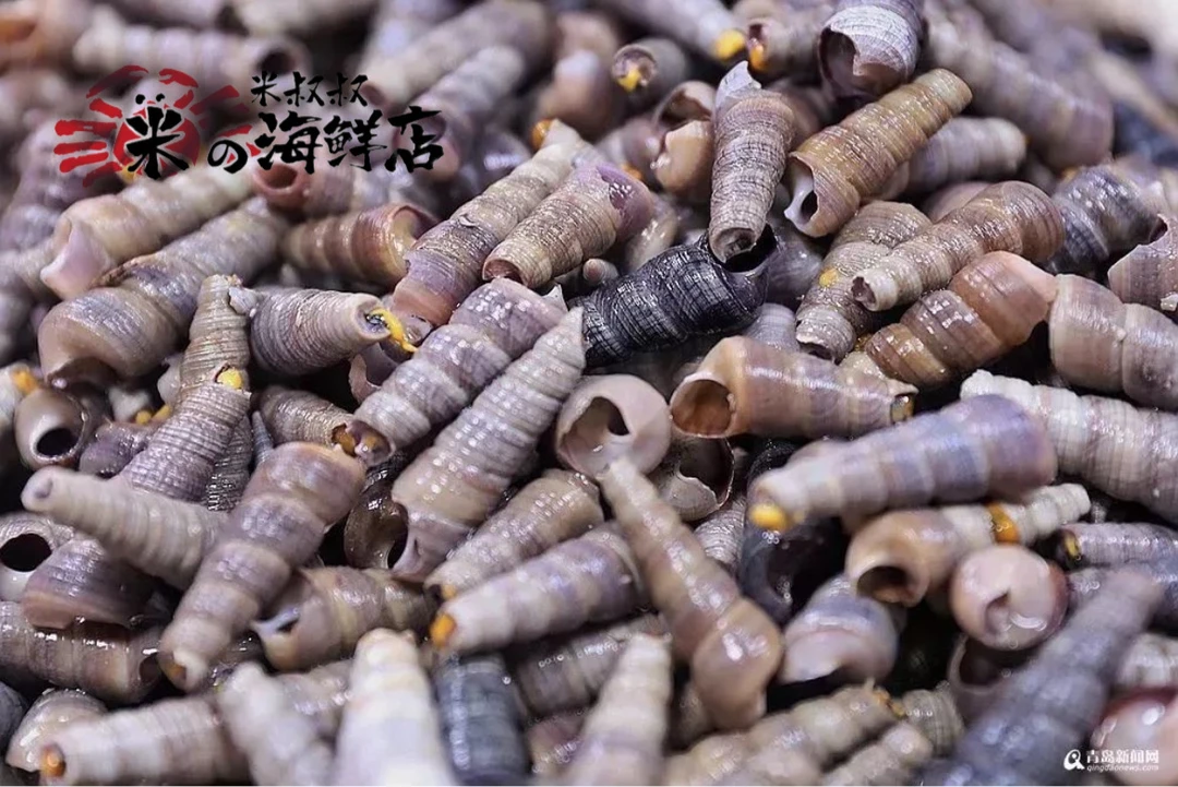 钉螺500g