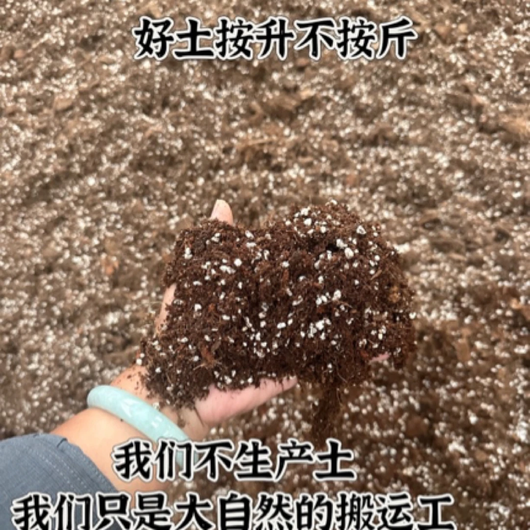 国庆中秋节福利蓝莓专用酸性介质土 生根壮根介质体积12L