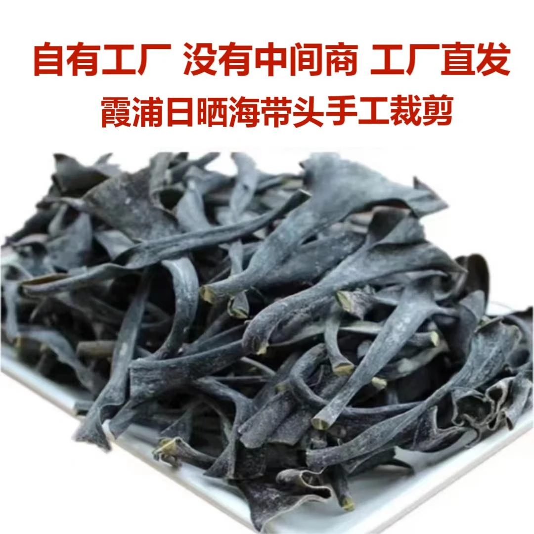霞浦日晒干海带头干燥鲜嫩短海带头风干新鲜美味厚实100g产品干净