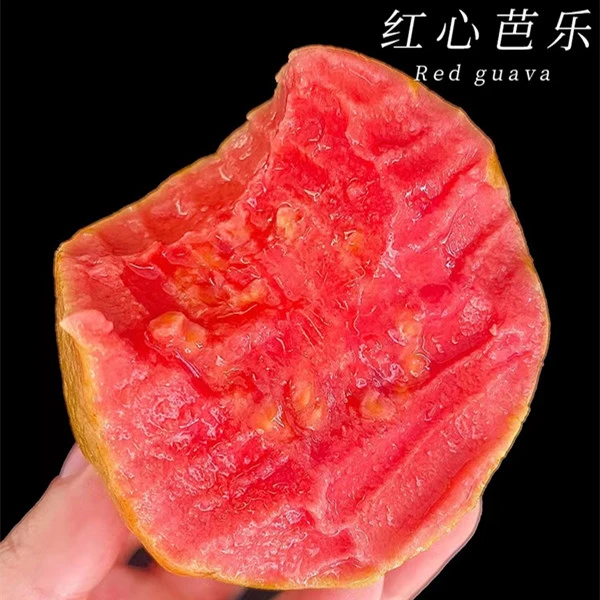 芭乐软糯红心番石榴清甜奶新鲜采摘大果油巴乐鸡屎果香甜整箱包邮