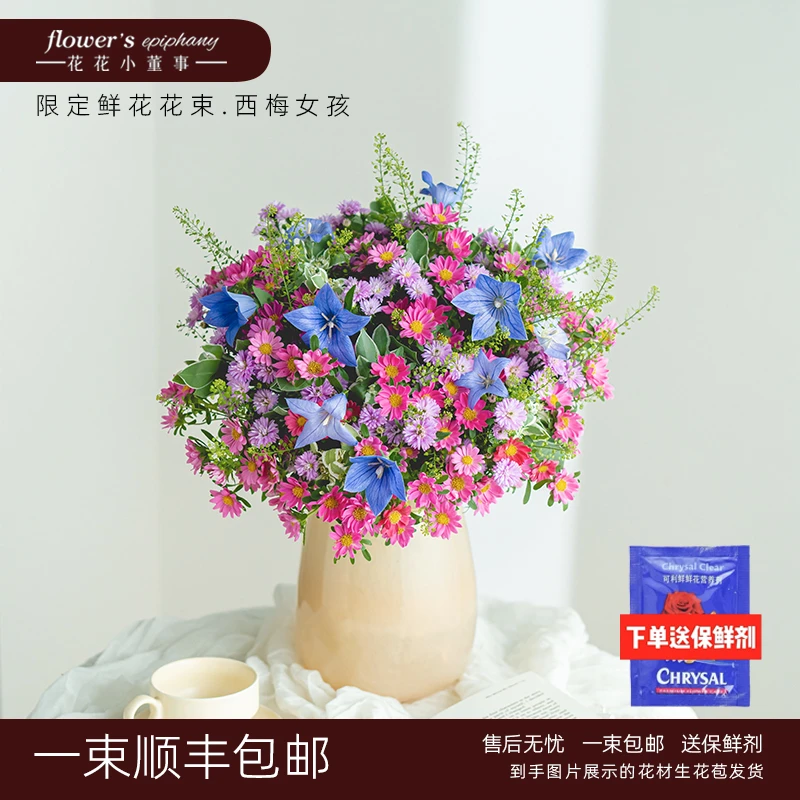 西梅女孩主题鲜花花束|紫色玫红搭配云南昆明基地直发家用瓶插花