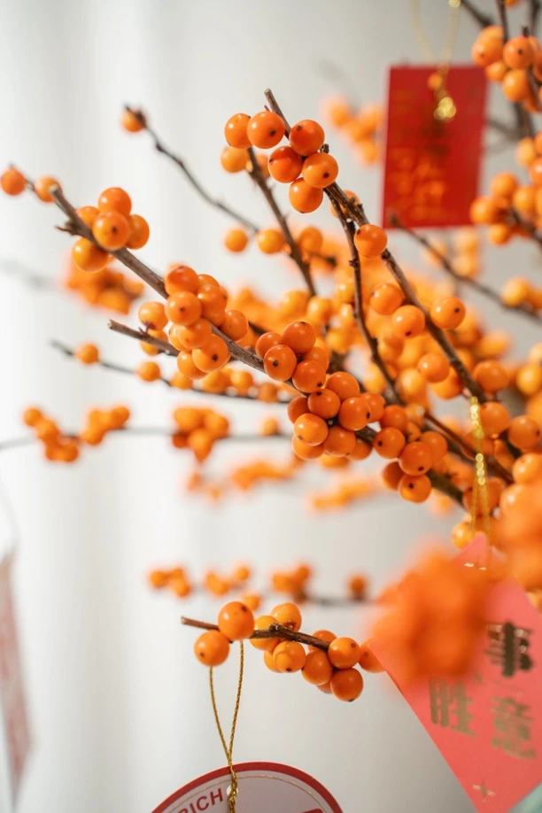 七夕年宵花|冬青|菠萝高端组合｜花期长好养护限量发货