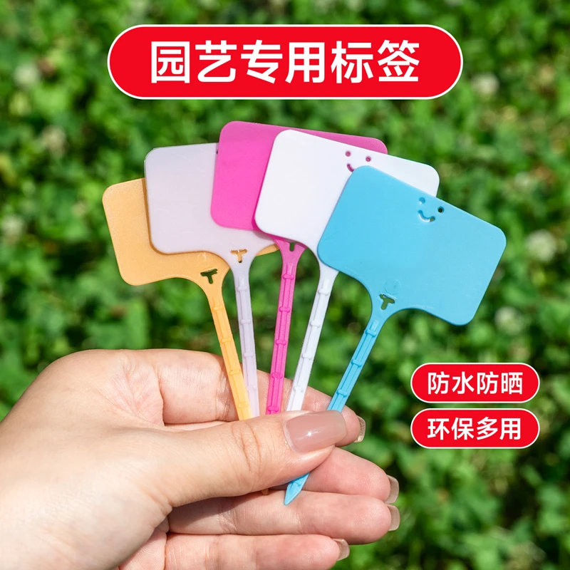标签用品花盆插地牌塑料多色防水多肉标识牌盆景T型花卉标记标签