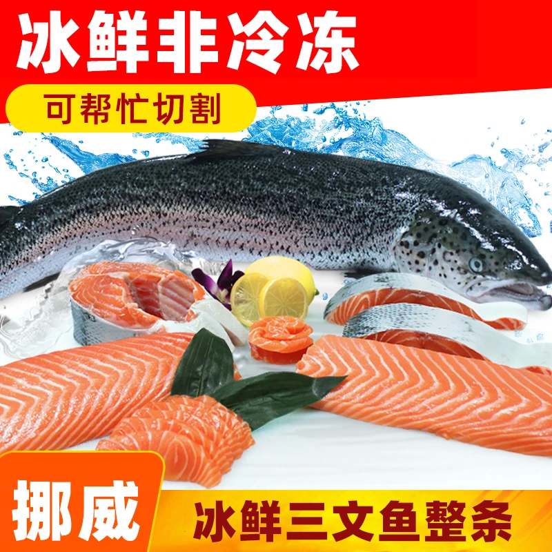 【万岛国】 空运挪威冰鲜三文鱼整条 可批发（大西洋鲑）鱼腩刺身生吃