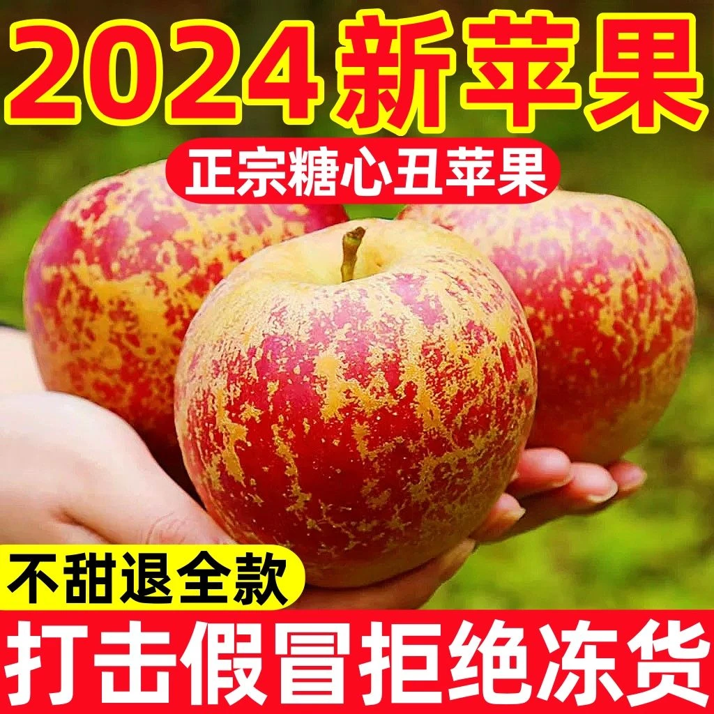 正宗大凉山盐源苹果冰糖心枝头鲜果现摘现发丑苹果5斤/8斤包邮