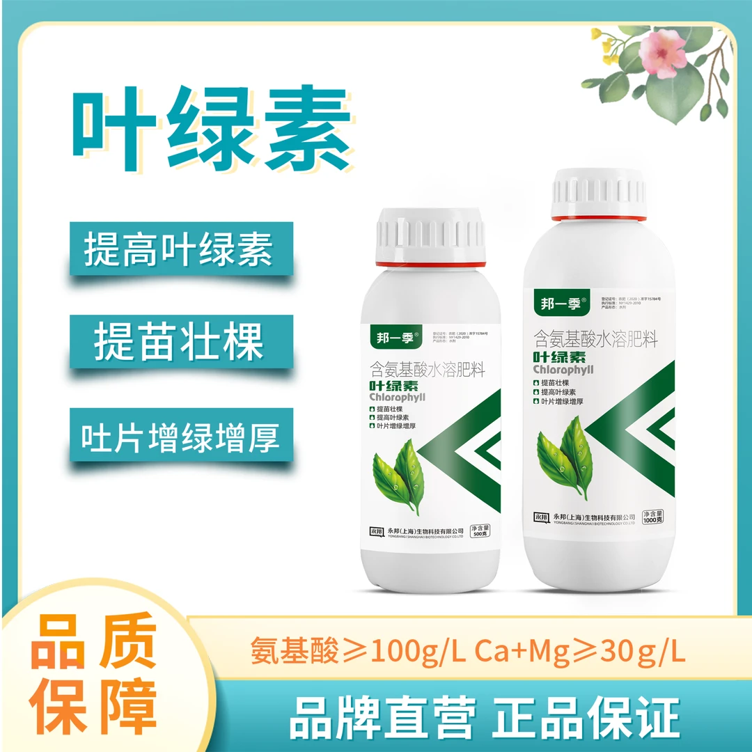 【增产专用】黄叶变绿提质壮苗增甜专用全能型叶绿素含氨基酸水溶肥