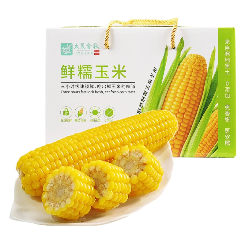 大晟金秋正宗东北黑土地黄糯玉米10棒营养天然拉丝软糯香甜