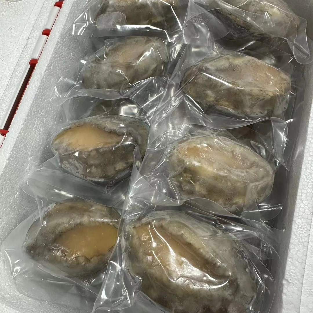 青岛  鲍鱼礼盒装    即食鲍鱼