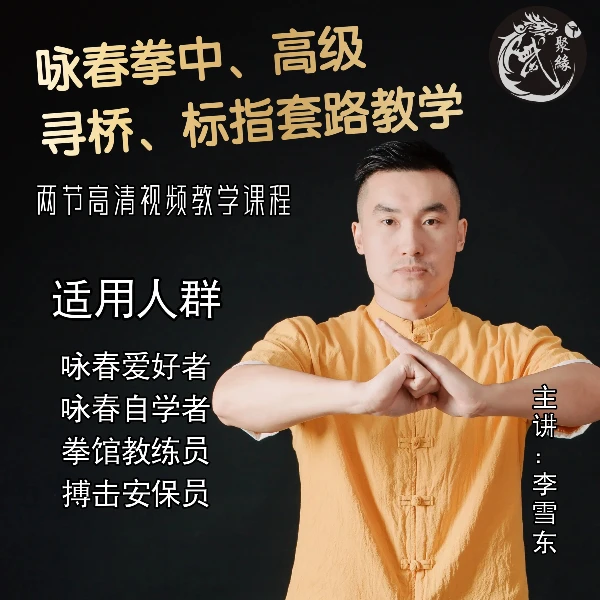 咏春拳中、高级寻桥、标指套路教学、武术、搏击健身
