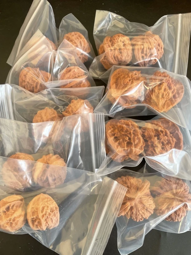 手作文玩核桃新手入门原皮原色白茬品种大小随机发