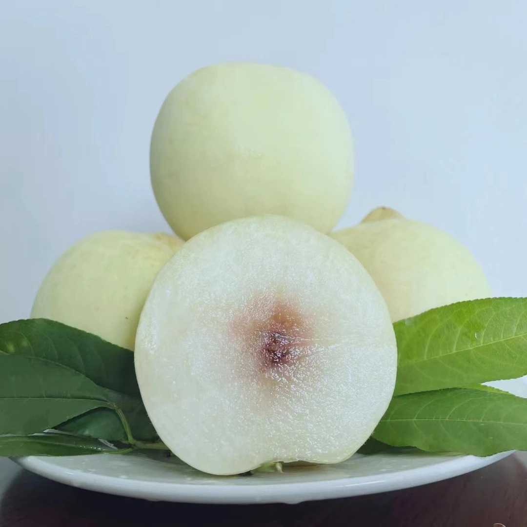 房县化龙堰镇李堰村新鲜冬桃现摘现发