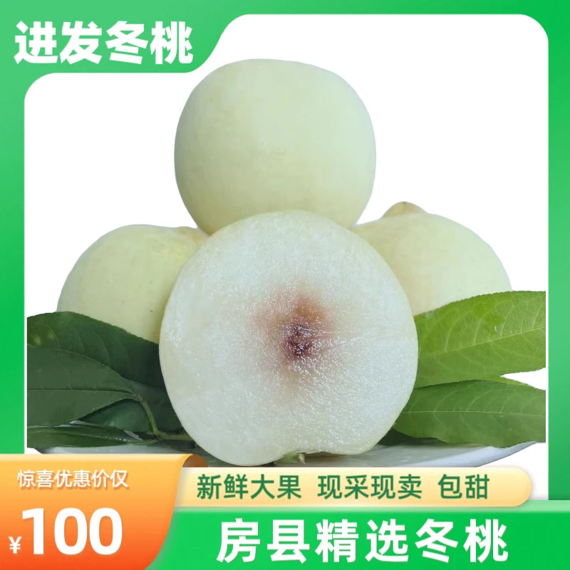 房县进发冬桃鲜美多汁口感脆甜现摘现卖桃子