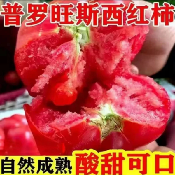 【山东普罗旺斯西红柿】新鲜沙瓤生吃大番茄自然熟水果蔬菜粉柿子