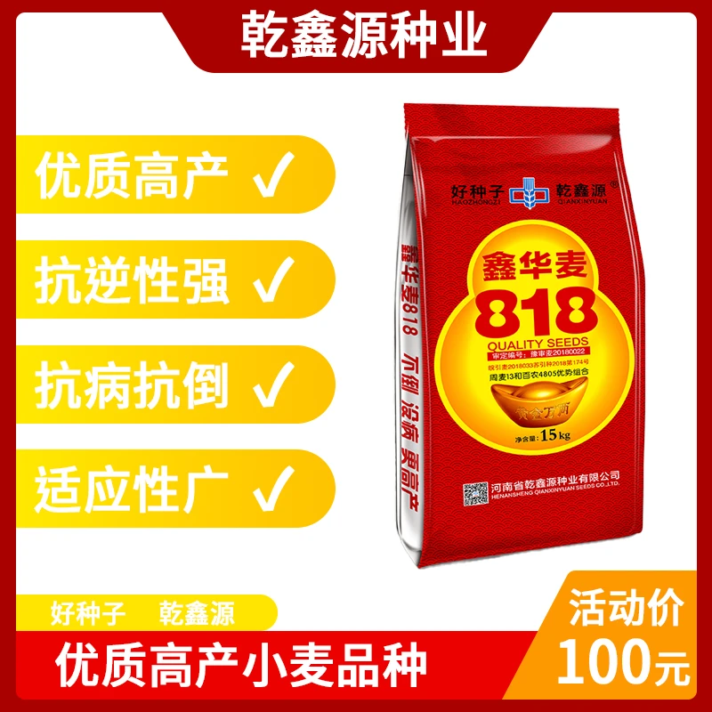 【鑫华麦818】优质高产抗病抗倒小麦品种种植种业