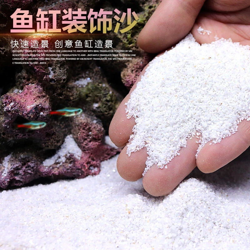 异景园菲律宾沙贝壳白细沙珊瑚砂鱼缸装饰造景海缸三湖慈鲷鱼底沙