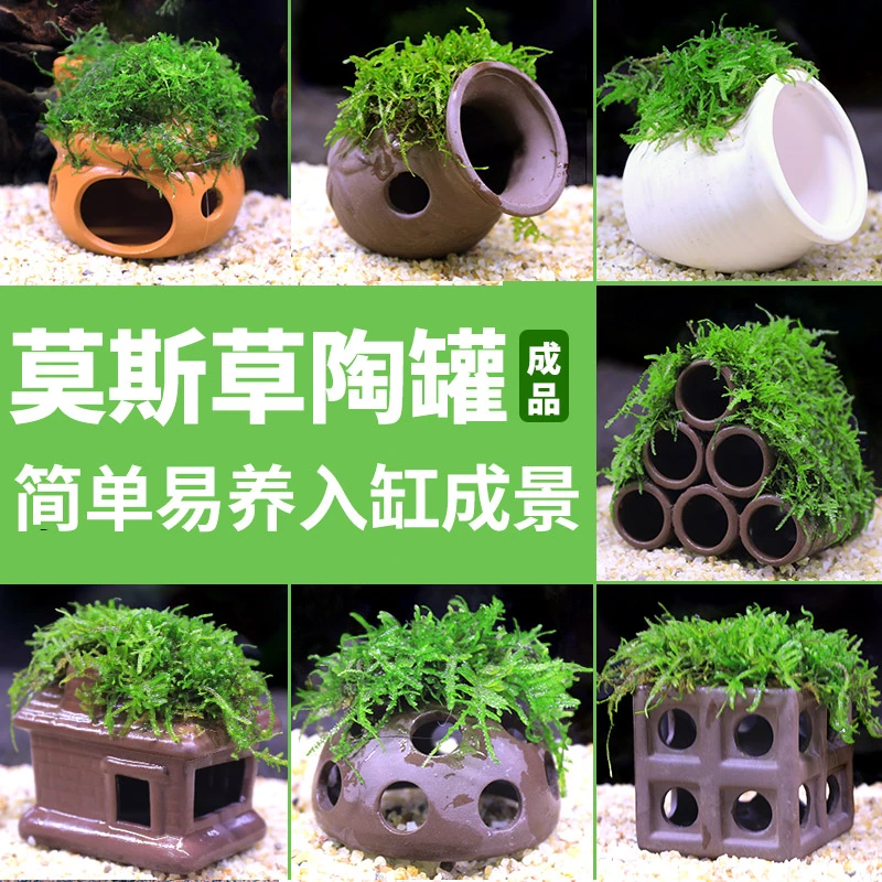 莫斯虾屋虾窝鱼缸鱼虾躲避屋繁殖屋产卵洞装饰造景小鱼陶瓷罐房子