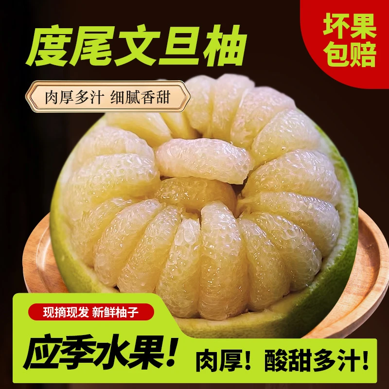 【精选上果】正宗仙游度尾红心文旦柚无籽新鲜现摘酸甜多汁爆汁柚子