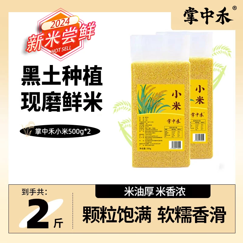 掌中禾小米500G*2东北黑土种植 饱满圆润 米饭伴侣