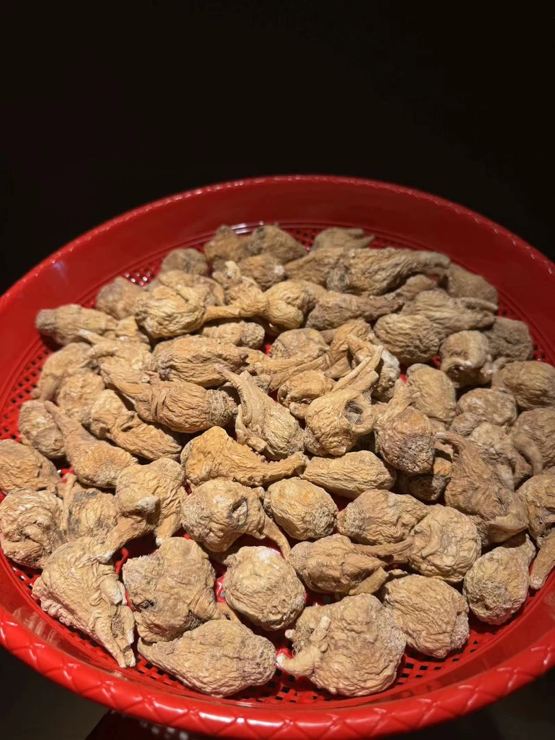 【藏阳参】250g 珍稀好物 年年少