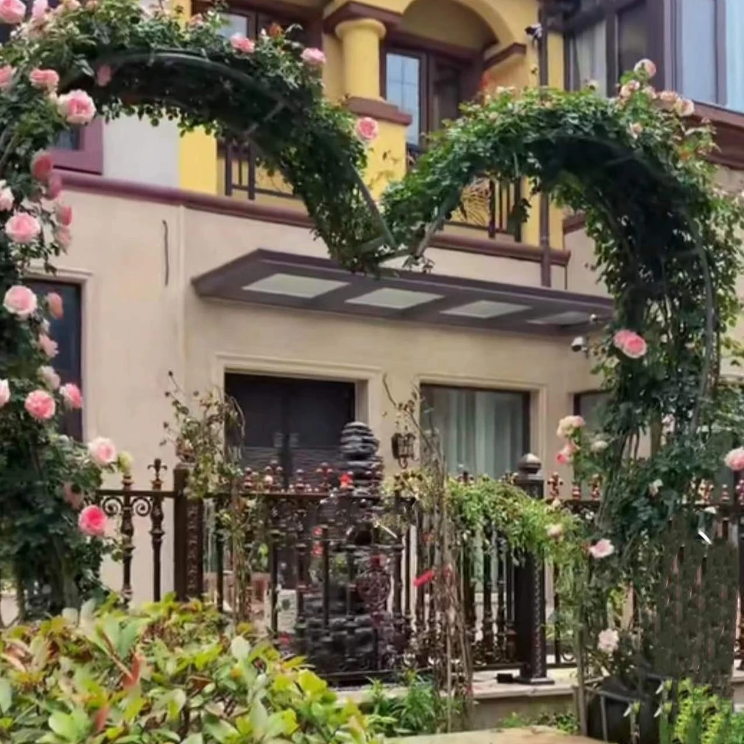 粉色龙沙宝石庭院拱门爱心精品一对大华浓香春季夏季紫色橙色花期