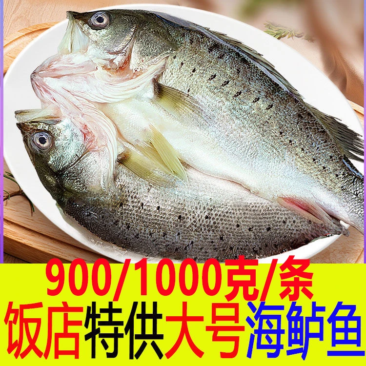 特大号900/1000g/条开背鲈鱼条深海七星新鲜冷冻鲜嫩美味生鲜