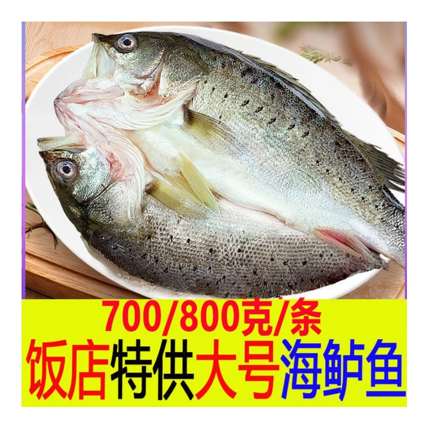 特大号海鲈鱼700/800g/条开背去鳞七星新鲜冷冻鲜嫩鲜美生鲜腌制