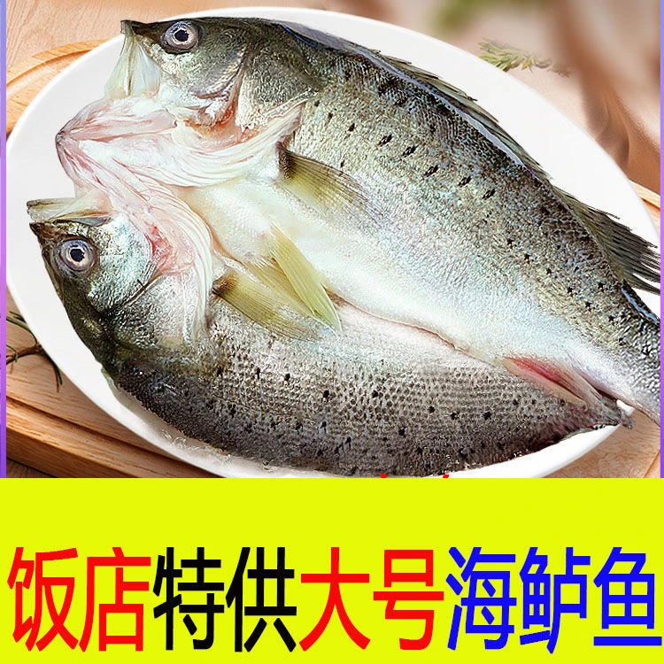 开背海鲈鱼 4条 （700g/条）七星新鲜冷冻鲜嫩美味生鲜鱼海鲜
