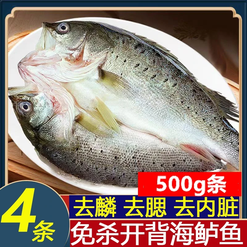 开背海鲈鱼 4条 （500g/条）七星新鲜冷冻鲜嫩美味生鲜鱼