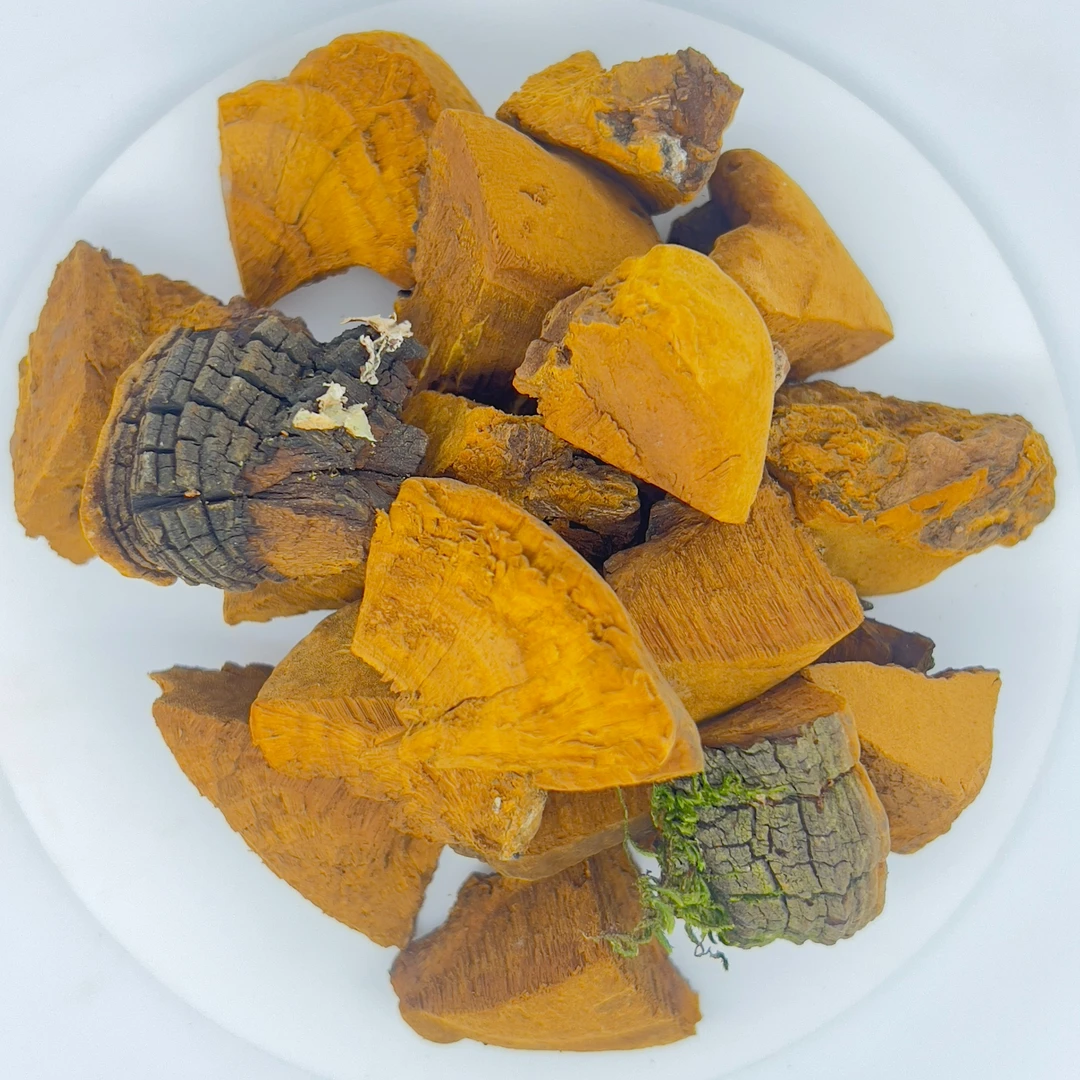 【是田严选】桑黄 西藏林芝产区桑树/黄 切块 整块