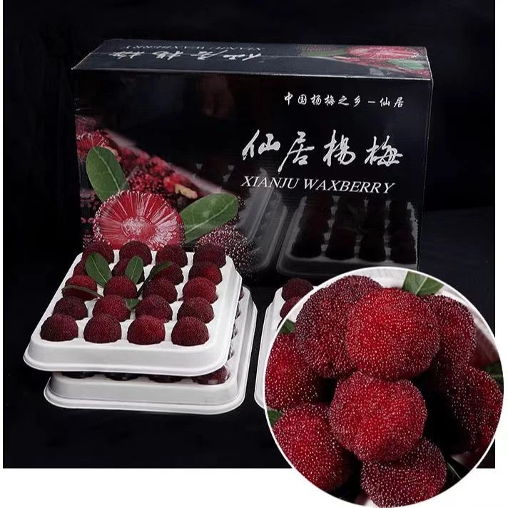 【仙居杨梅】东魁杨梅8A大果颗粒装，顺丰江浙沪皖包邮真空包装