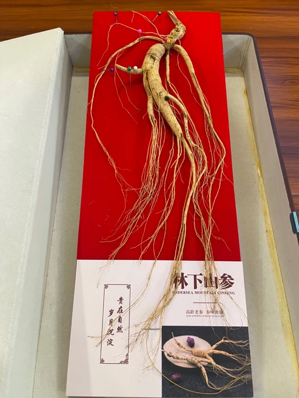 东北长白山脉林下参17年送礼煲汤伴手礼