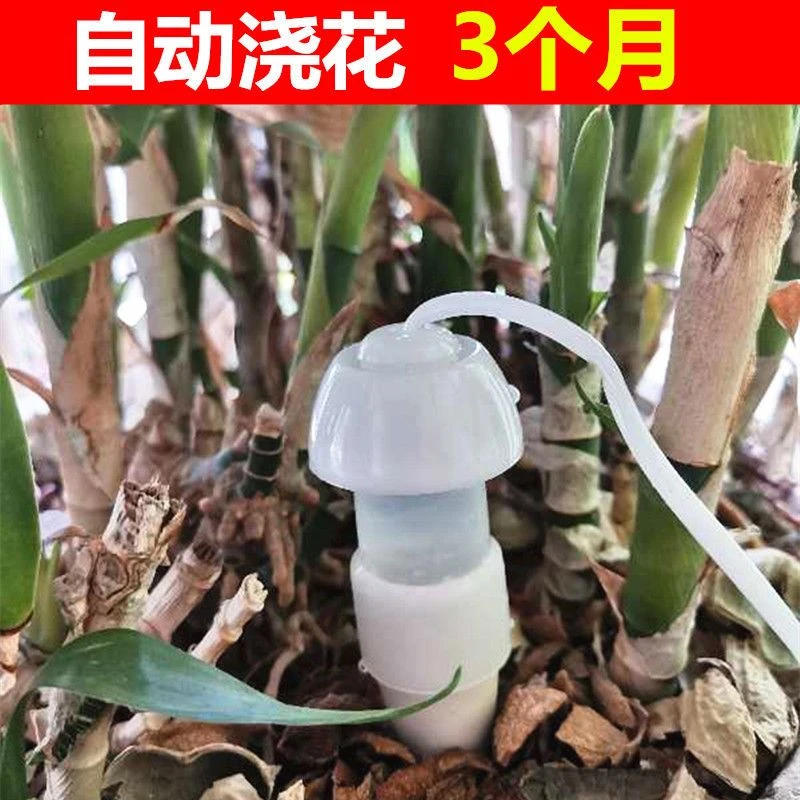 滴水器渗水器家用自动浇花器可调节流速滴灌懒人浇地浇水神器