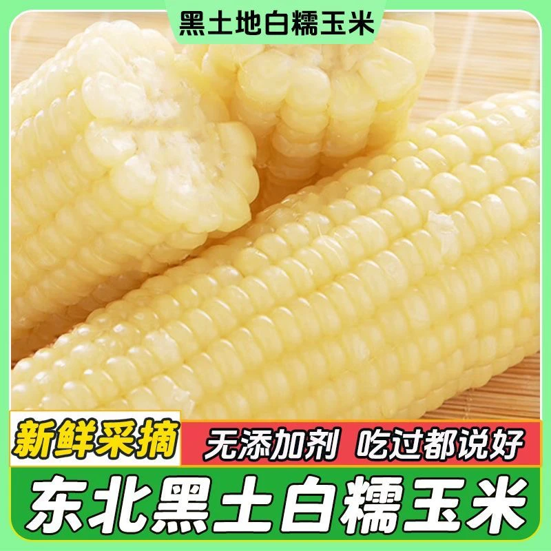 【8➕2丰收季】2024头茬东北农家白糯玉米 微甜软糯香黏 10支5-6斤